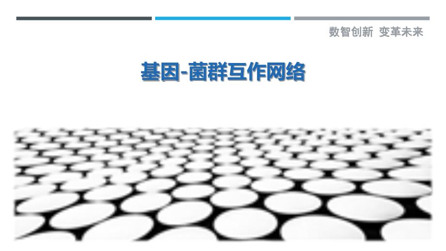 基因-菌群互作网络详细解析_第1页