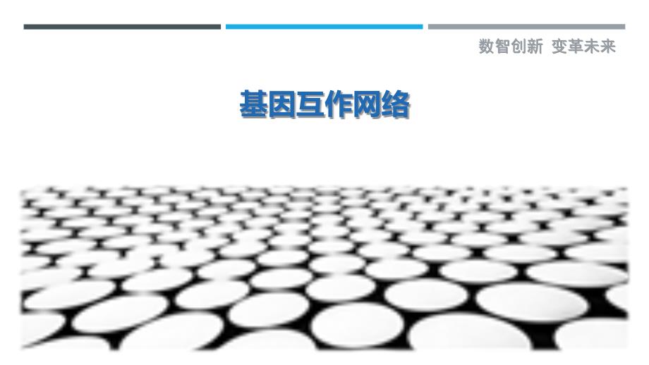 基因互作网络-第1篇详细解析_第1页