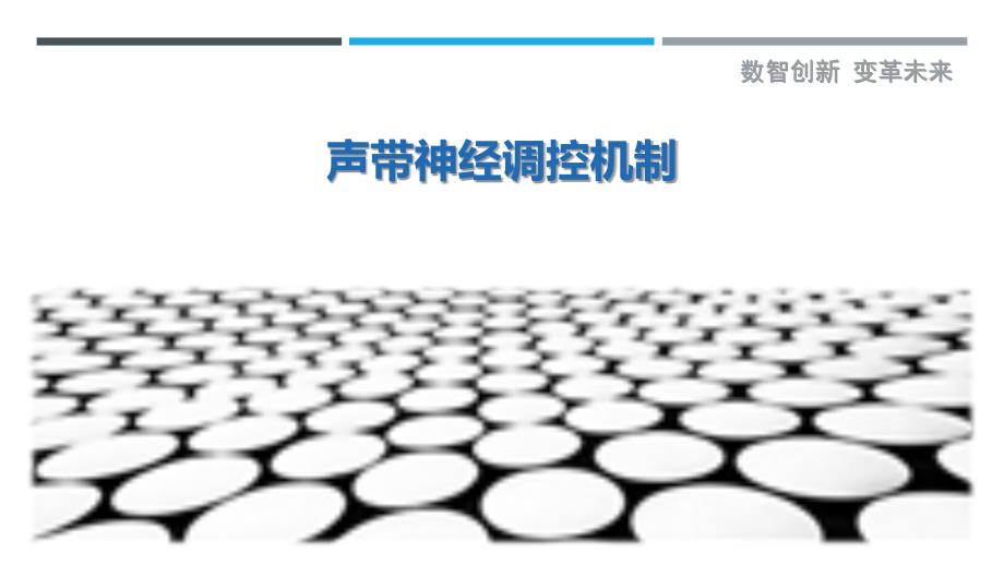 声带神经调控机制详细解析_第1页